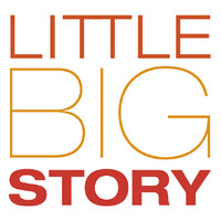 LITTLE BIG STORY logo - Similar company to Something Big