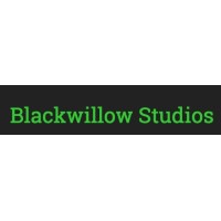 Blackwillow Studios logo - Similar company to Game Alpha Studio