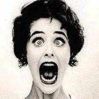 Alfinetei logo - Similar company to Vivere Press