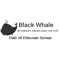 Black Whale unit of Friscone Group logo - Similar company to Indiabizzness