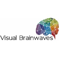 Visual Brainwaves logo - Similar company to Pixel Websites