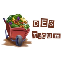 DES Tacum Cooperativa Sociale logo - Similar company to Brainfarm | Don'T Stop Growing