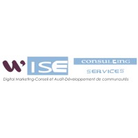 Wise Consulting Services logo - Similar company to Wise Consulting Services