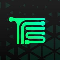 TFS logo - Similar company to Hak Consultancy Services