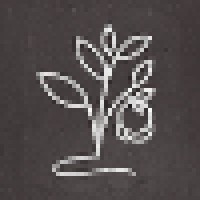 Horta Studio