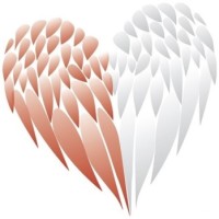 hochzeit auf reisen logo - Similar company to Witfimit