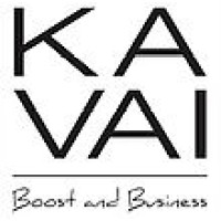 Kavai Boost and Business logo - Similar company to Wbb Network