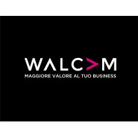 Walcam Srl logo - Similar company to Ica System