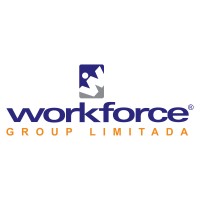 Workforce Group Limitada logo - Similar company to Adv Tech