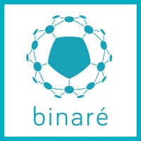 binare.io - IoT pentester's must-have tech logo - Similar company to Lazarus_Eu