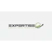 Expertise Terceirização Fiscal logo - Similar company to Mn Contabilidade