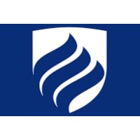School of Business - Elmhurst University logo - Similar company to Bulldog Solution Inc.