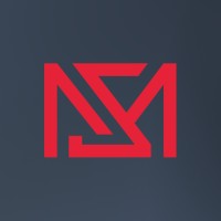 MSM North America logo - Similar company to Hawk Insight Llc