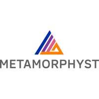 Metamorphyst logo - Similar company to Genautomata.Ai