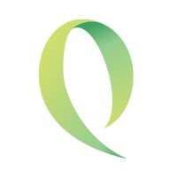 QuidVista logo - Similar company to {N}.Bora