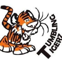 TumblingTigerz Inc. logo - Similar company to Web Detectives