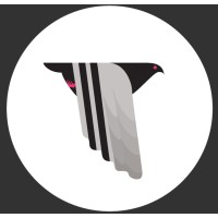 Pigeons & Planes logo - Similar company to Ima Low Res