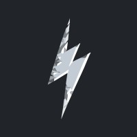 Drive The Lightning logo - Similar company to Liquid Brandlab