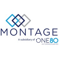 Montage logo - Similar company to Banyomarka