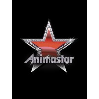 ANIMASTAR logo - Similar company to Raid Studio