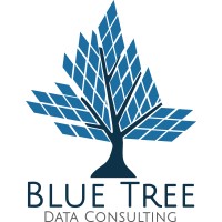 Blue Tree Data Consulting