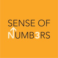 Sense of Numbers logo - Similar company to Evolve Your Digital
