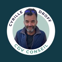 CDV Conseil logo - Similar company to Cdv Consultoría