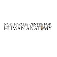 North Wales Centre for Human Anatomy / Canolfan Anatomeg Ddynol Gogledd Cymru logo - Similar company to Wellbe