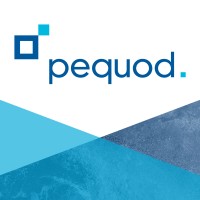 Pequod Associates Ltd logo - Similar company to Eimc