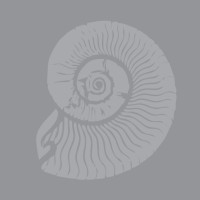 Portman Stone logo - Similar company to Iworktops