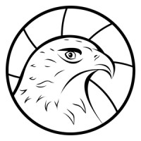 Endemik Studio logo - Similar company to 8000 Mondes