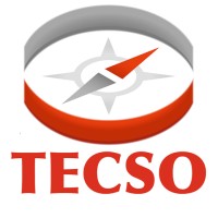 TECSO - TEcnologia e Consulenza per Sistemi Organizzativi logo - Similar company to Innovazione & Risorse