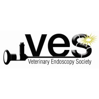 VETERINARY ENDOSCOPY SOCIETY logo - Similar company to Veterinary Immersion Plan