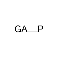 GA_P studio logo - Similar company to Code Studio