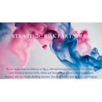 Strategic Risk Partners logo - Similar company to Red Queen Advisory Limited