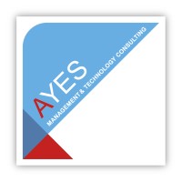 Ayes - Management & Technology Consulting