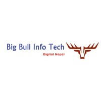 Big Bull Info Tech logo - Similar company to Source It Group