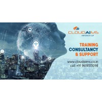 CloudAims Infotech LLP logo - Similar company to Perapsis Infotech Private Limited
