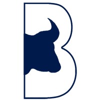 Blue Buffalo Consulting Ltd logo - Similar company to Unify Vsn Ltd