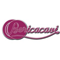 BERICA CAVI S.P.A. logo - Similar company to Cavicel Spa