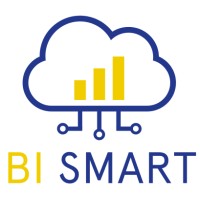 BI Smart S.r.l. logo - Similar company to Flymark Srl