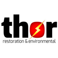 Thor Global, LLC logo - Similar company to Thor Global Enterprises Ltd.