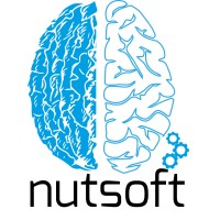 Nutsoft logo - Similar company to Creative Code Solutions