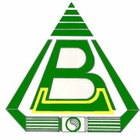 Borhanco Petroleum Services - Egypt logo - Similar company to Universal For Gases And Petroleum Services             (Unigas Egypt)