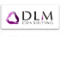 DLM Consulting Ltd logo - Similar company to Dlm Advisor Srl