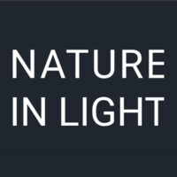 Nature in Light logo - Similar company to Castillo Fabrication