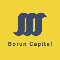 Borun Capital logo - Similar company to Platform Capital Llc