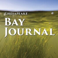 Chesapeake Bay Journal logo - Similar company to American Dairy Association