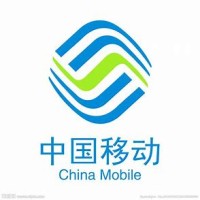 China Mobile Group Shaanxi Company Limited