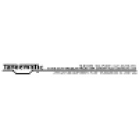 Tandematic Inc
